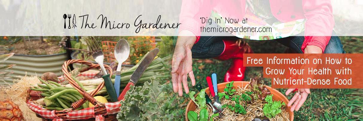 Micro_Gardener's profile banner image