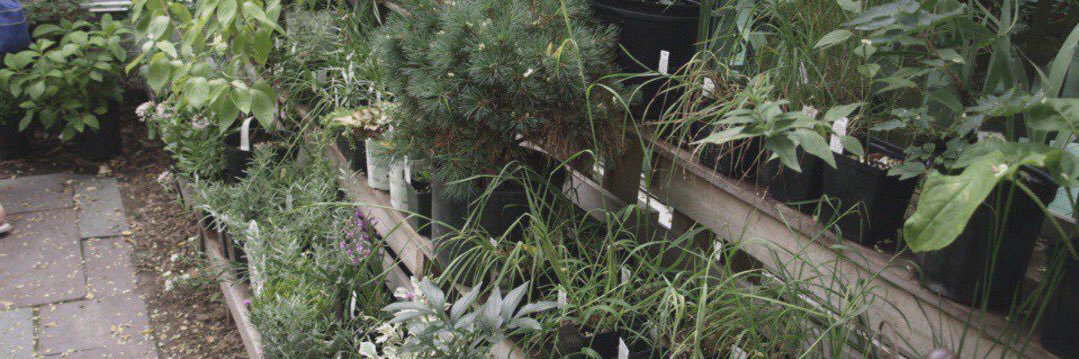 бериллий banner