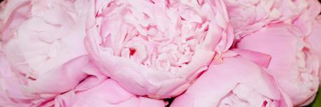 CandiceMue's profile banner image