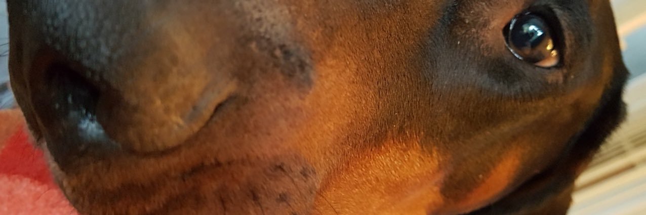 ktp101's profile banner image