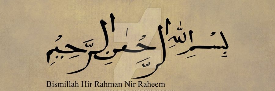 apitroslan's profile banner image
