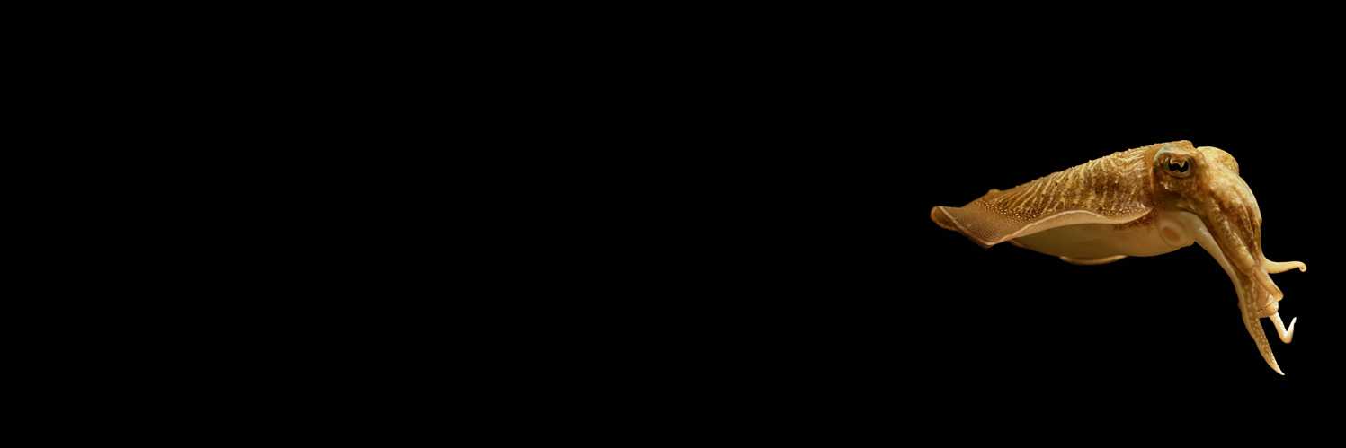 Twitter banner for @Cirrhosis