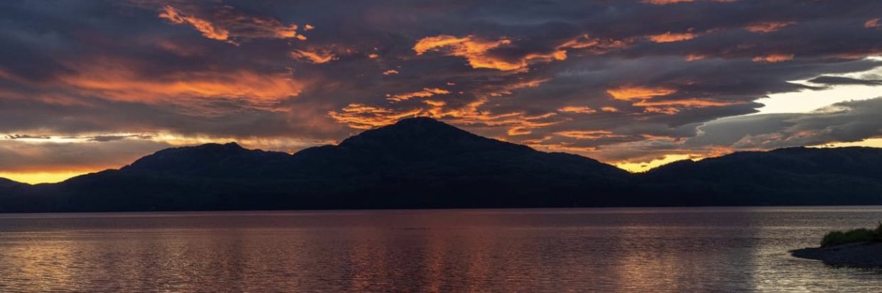 NICHOLBACK96's profile banner image