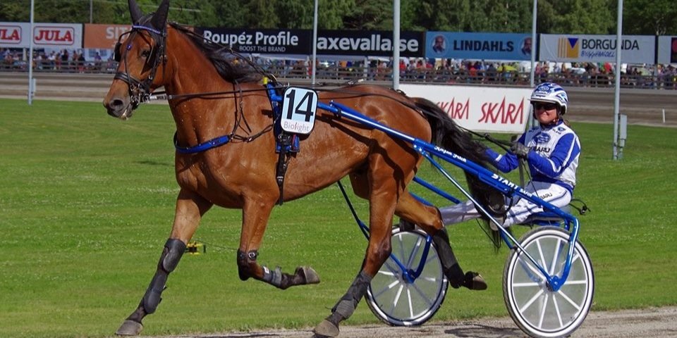 Tina Hellström Ollas banner