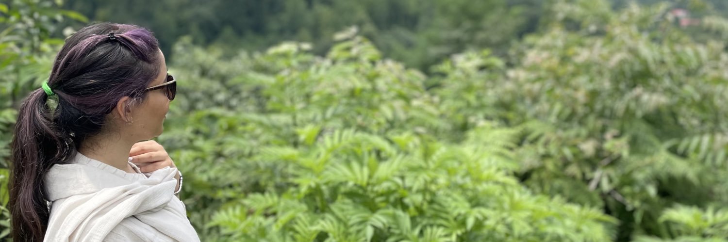 chlorosphyllon's profile banner image
