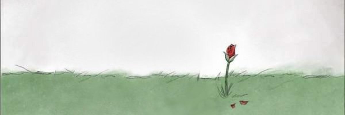 CommanderSnek's profile banner image