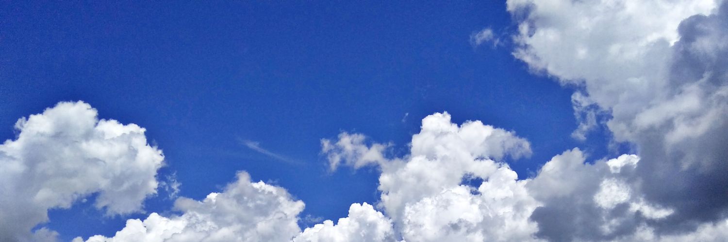 qiarapf's profile banner image