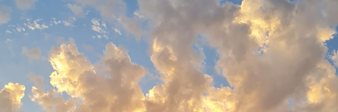 abgx98's profile banner image