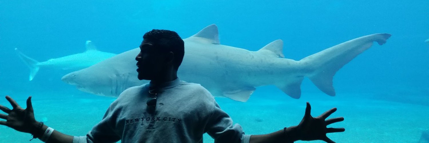 Billy Big Bollocks banner