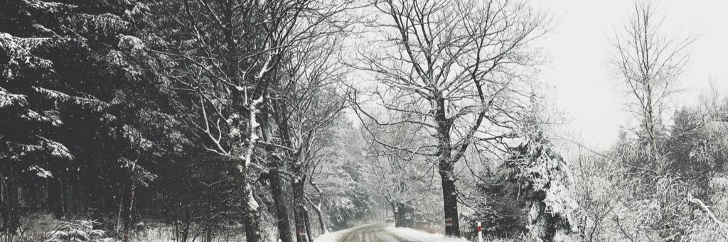 Kaźmirz banner