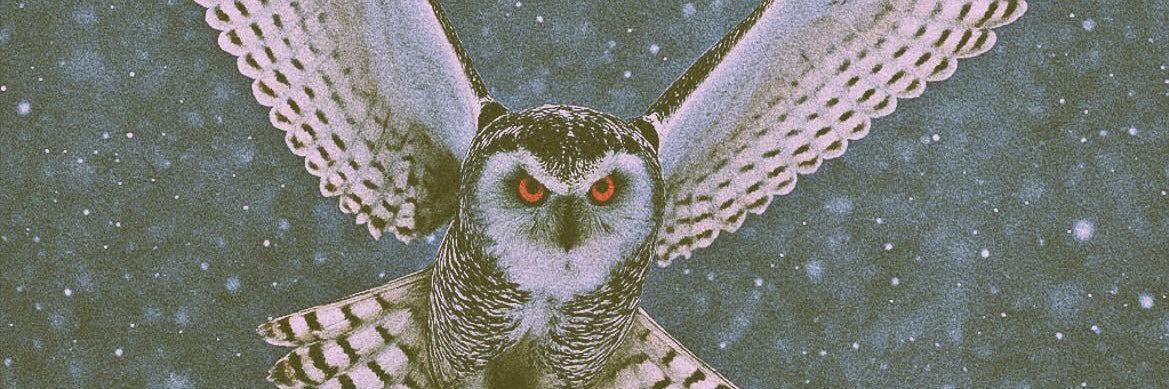 oiuszc's profile banner image