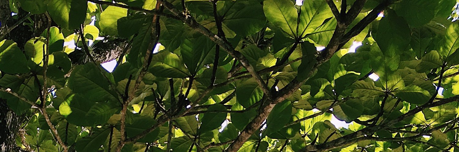 rafacruel's profile banner image