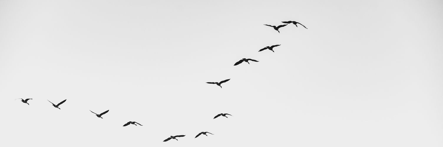 _natvoi's profile banner image