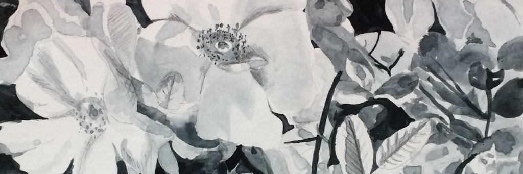 MarisaJaneD's profile banner image