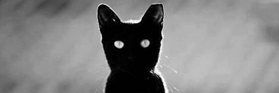 Pheminizer's profile banner image