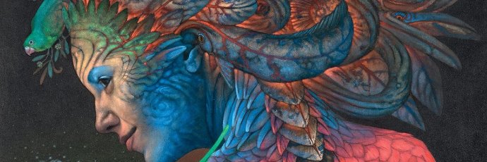 Kevindechile's profile banner image