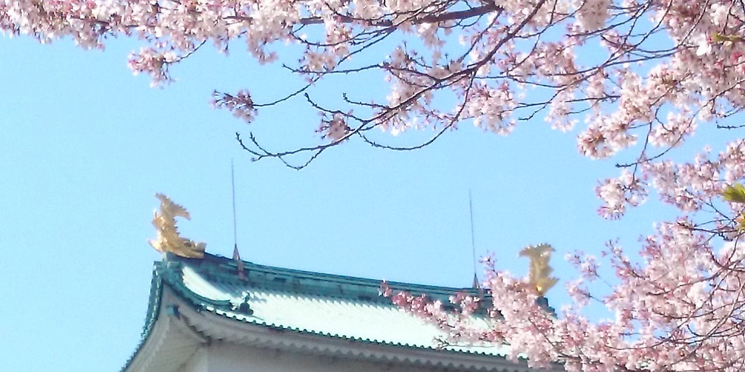 tomok_0000's profile banner image