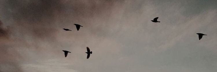 ffiafitri_'s profile banner image