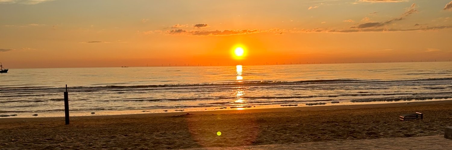 nllabru1's profile banner image