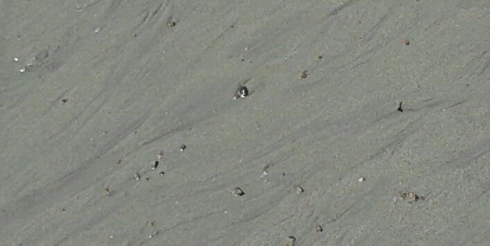 acalarca's profile banner image