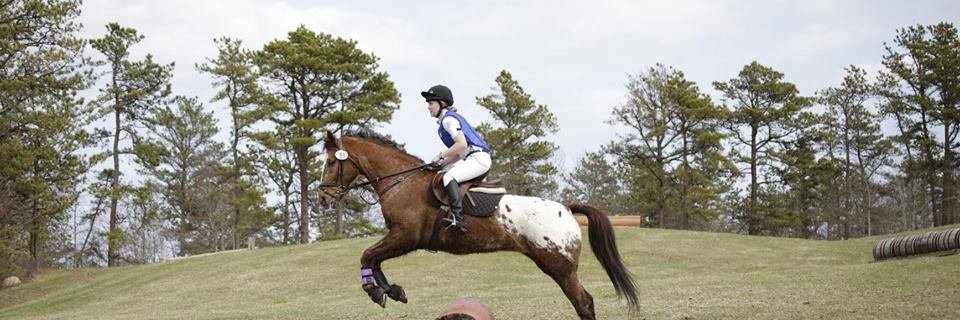 Robert Parker banner