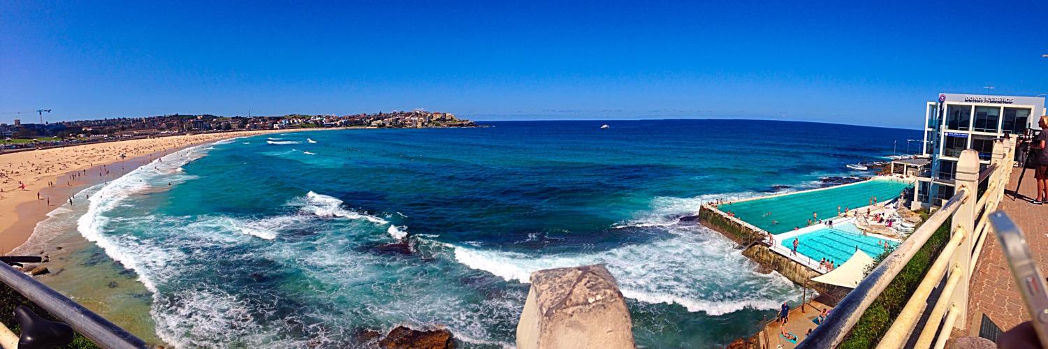 Helen Slaughter banner