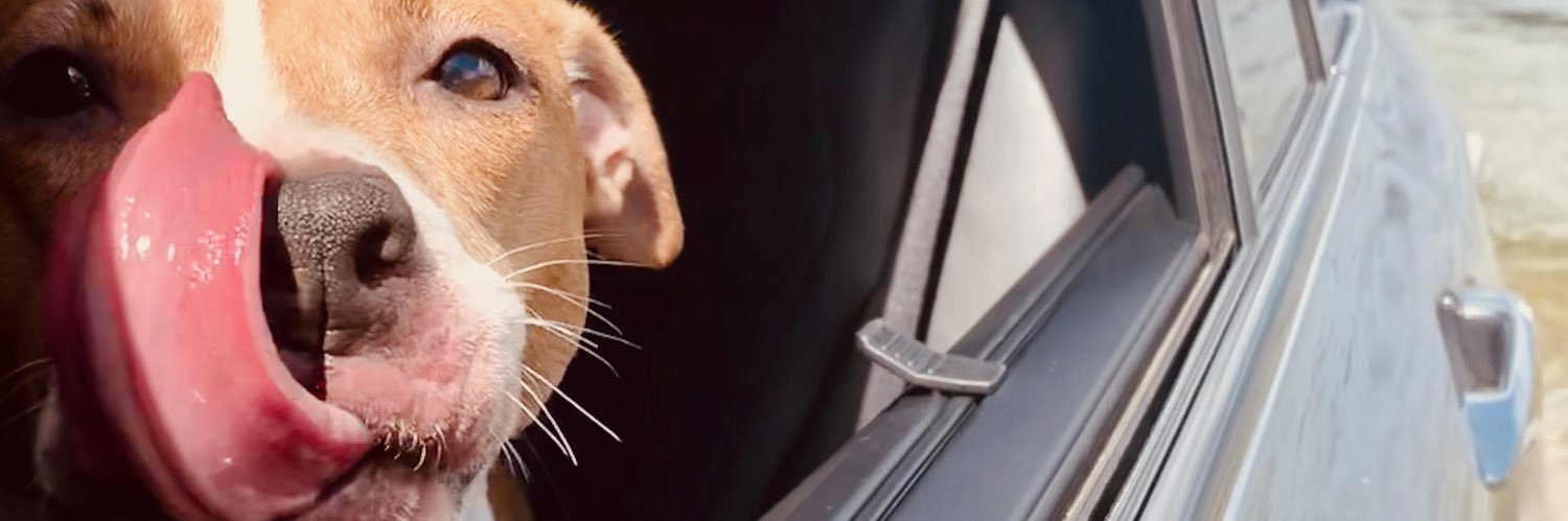 Keeez50's profile banner image