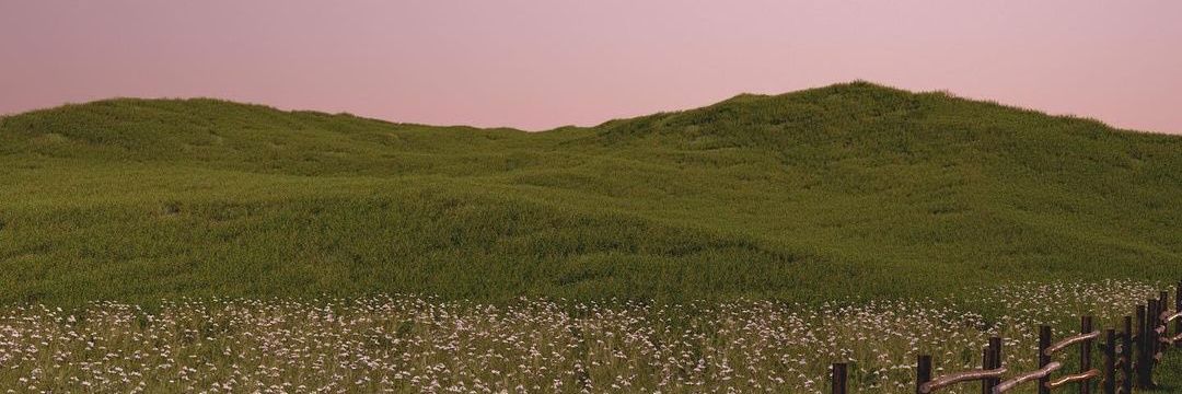 tylerishhh's profile banner image