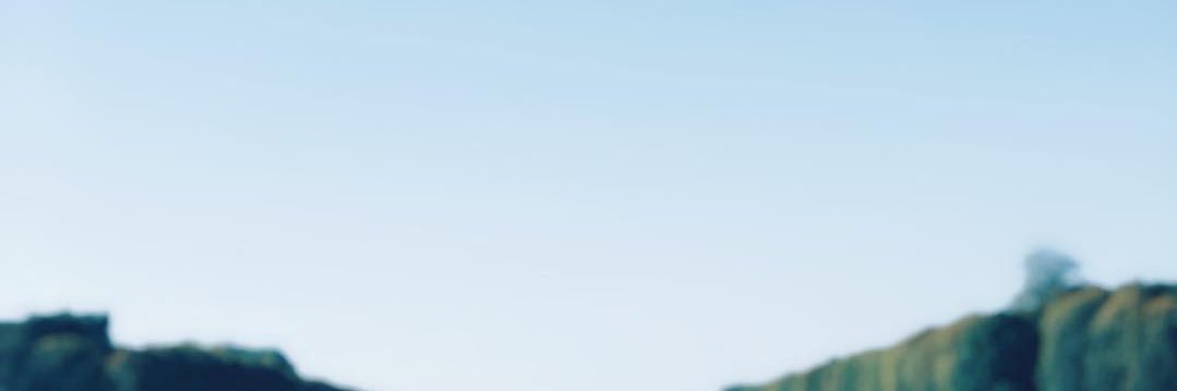 佩嵐 puilllll banner