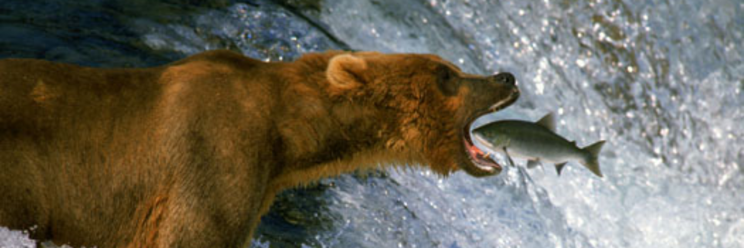 Jacob banner