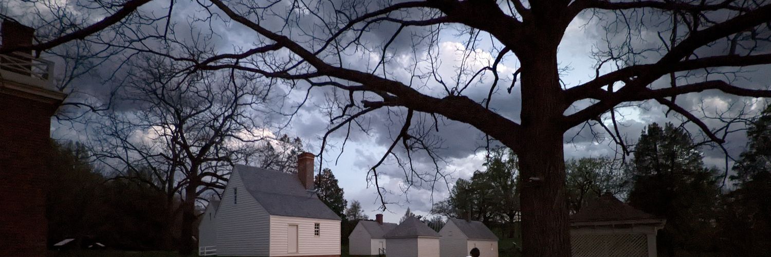 Matthew Reeves banner