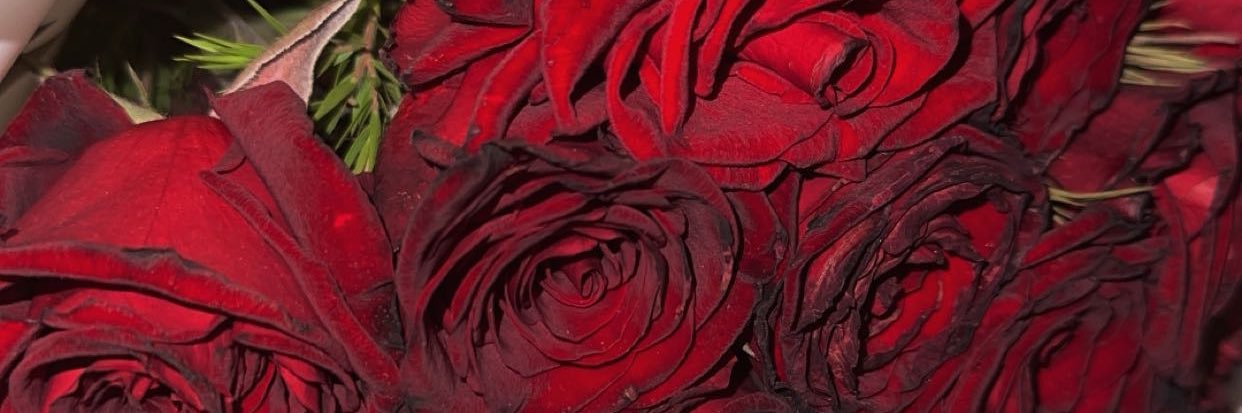 nahedhssn's profile banner image