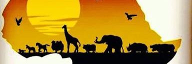 f_otolo1's profile banner image