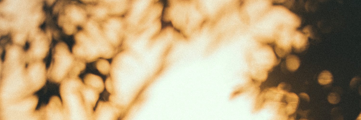 lightsoiled's profile banner image