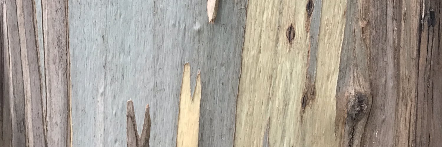 sepehr125's profile banner image