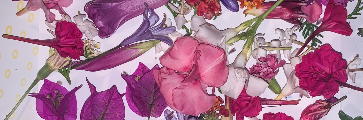YaJuliaa's profile banner image