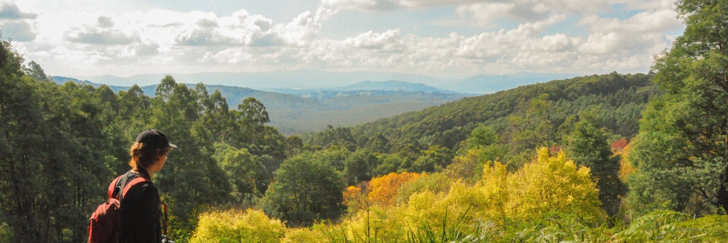 LachlanBoland's profile banner image
