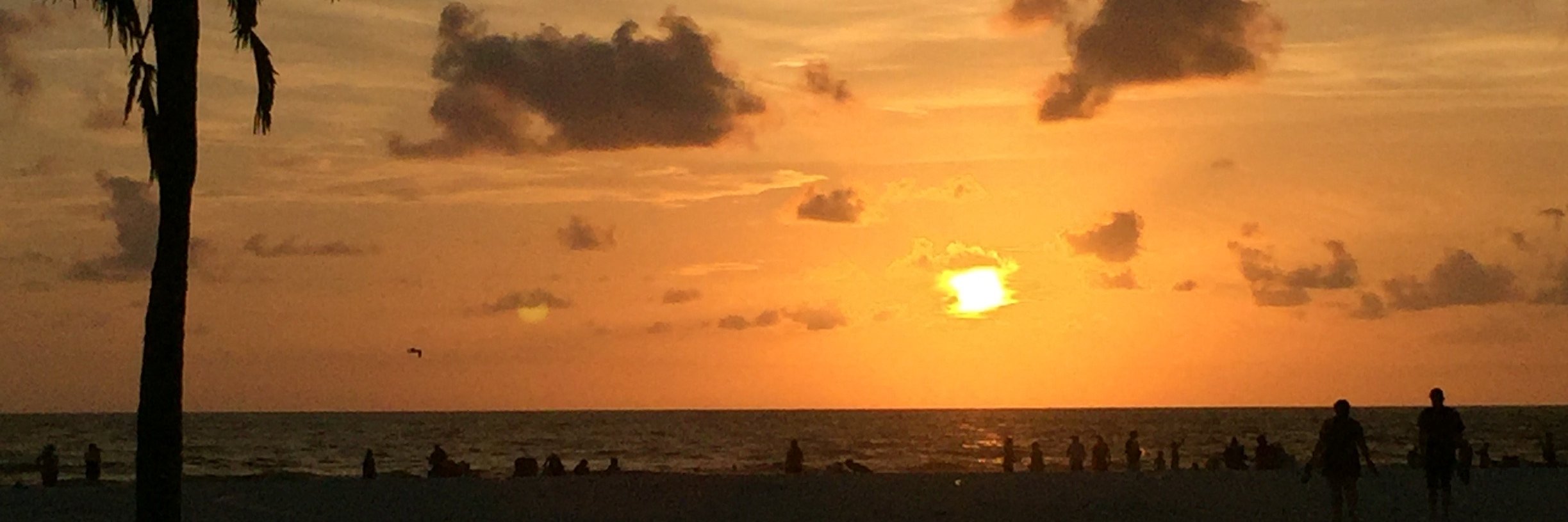 capnbarbosa11's profile banner image