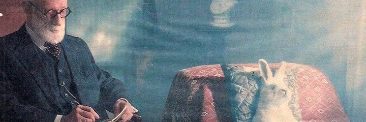 adibadro's profile banner image