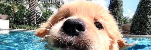 itzmedannie's profile banner image