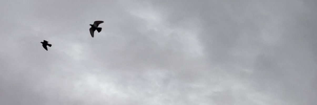 7bdullah__'s profile banner image