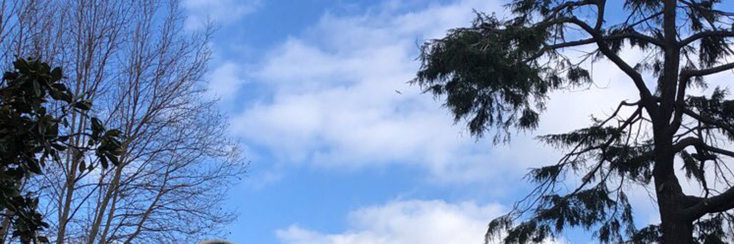 ilatifa93's profile banner image