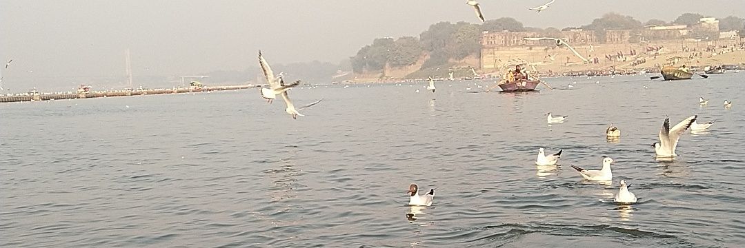Pankaj Pandey banner
