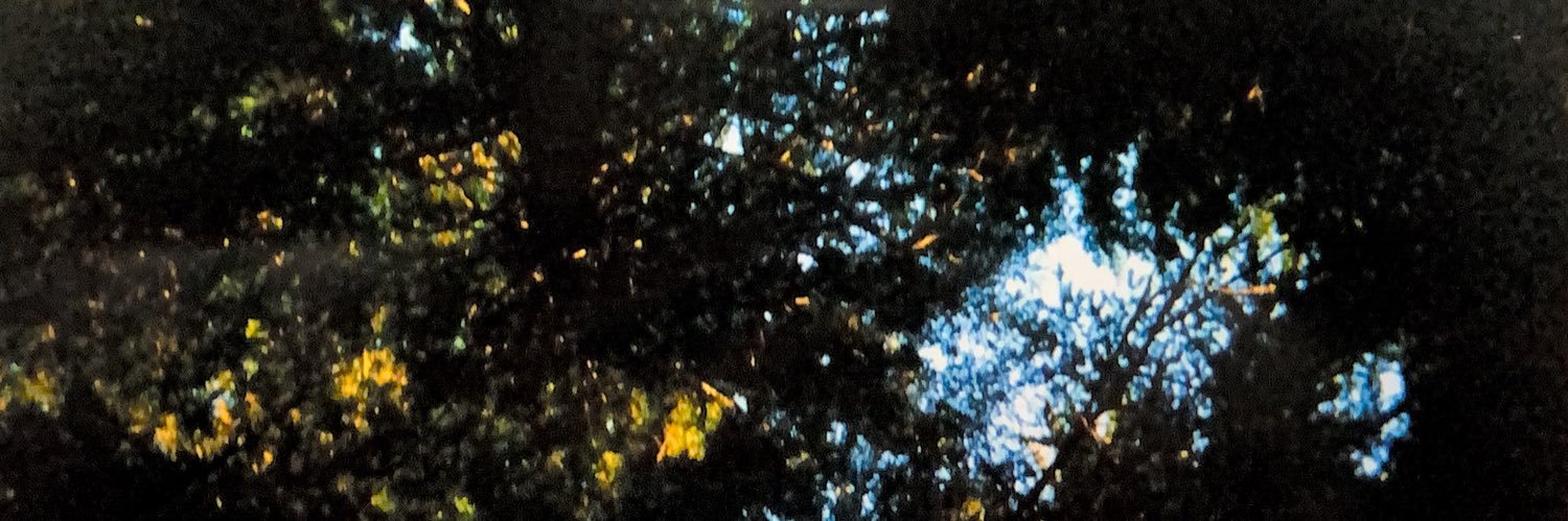 KendrickSeeber's profile banner image