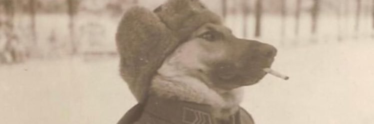 __BrandonByrne's profile banner image