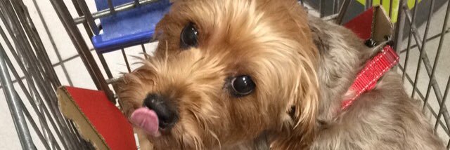 LeeonnaKenny's profile banner image