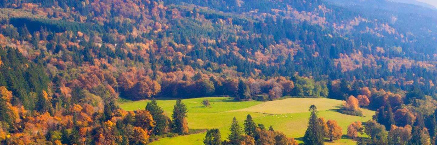 IMKWAND's profile banner image