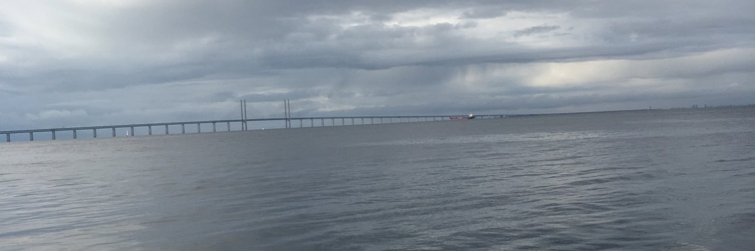 HildingMH's profile banner image