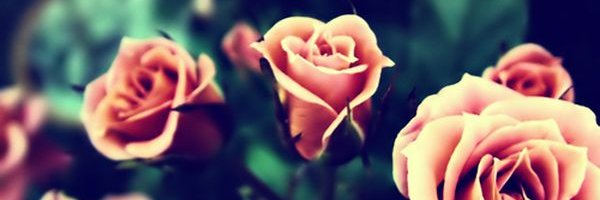 Weird_Rainbow_'s profile banner image