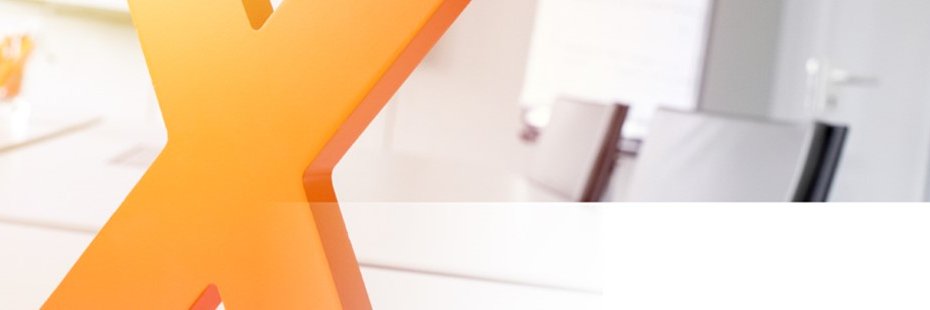 biX Consulting GmbH & CO. KG banner